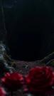 Demon Queen Returns From Hell Episode 1