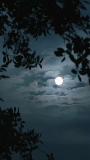 The Cast-Off Heiress's Dominion: Revenge, Power, and Love Episode 5