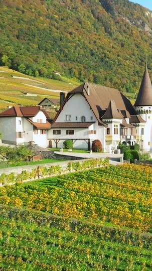 A Lover in A Wheelchair Who Cannot Escape Episode 9