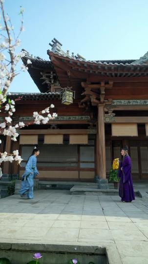 飞龙在天 第8集