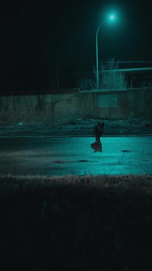 The Midnight Bus: Three Rules to Survive Episode 7