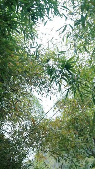 退婚後,我賴上前妻了 第9集