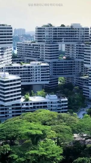 도심의 포식자 제9회