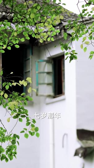 玫瑰娇藏 第1集