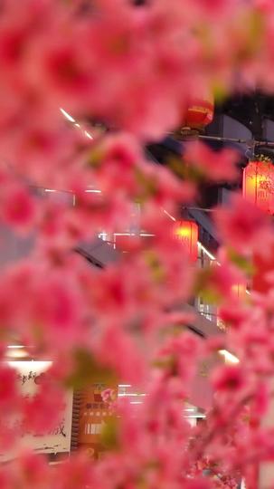 金宝闹蛇年 第1集