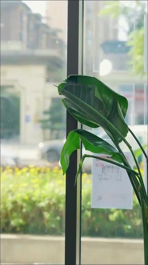 Agent of Fortune Episode 3