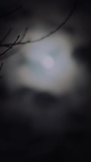 Love at First Bite Episode 7