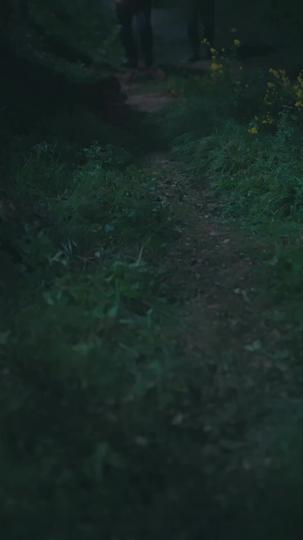 Fortune's Favorite, Family's Castoff (DUBBED) Episode 11