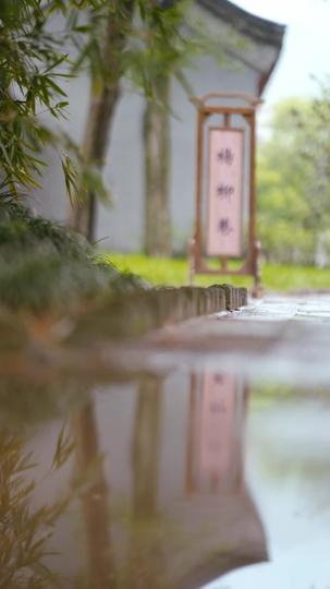 寒门女首辅 第5集