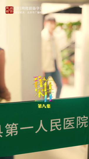 我在宋庄 第8集