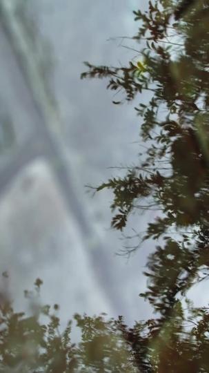 La esposa abandonada se convierte en reina Episodio 1