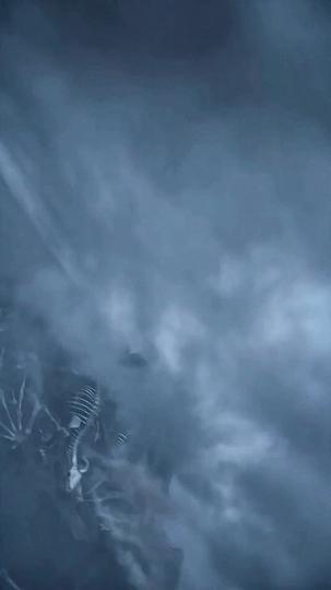 Ten Thousand Dragons Kneel Before Him Episode 1