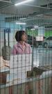 Episodes 25