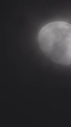 A Sedução do Jardineiro 5Episódio