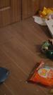 Episodes 26