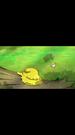 Decomposition King: Slime Mold Against the World