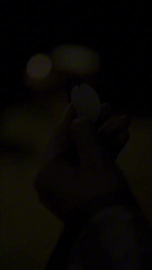 The Crown's Shadow Episode 1