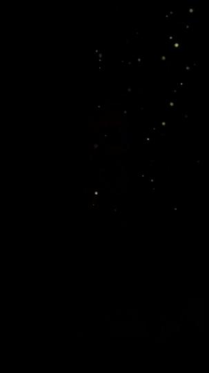 The Vengeful Son-in-Law Episode 10