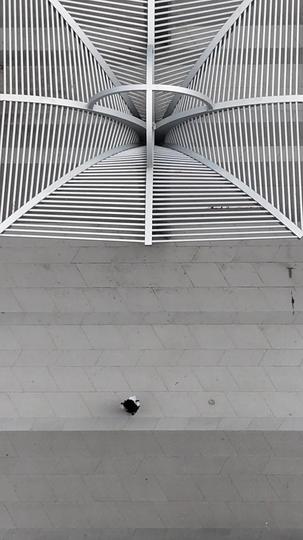 仲夏夜的告别 第1集