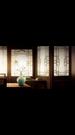 Episodes 46