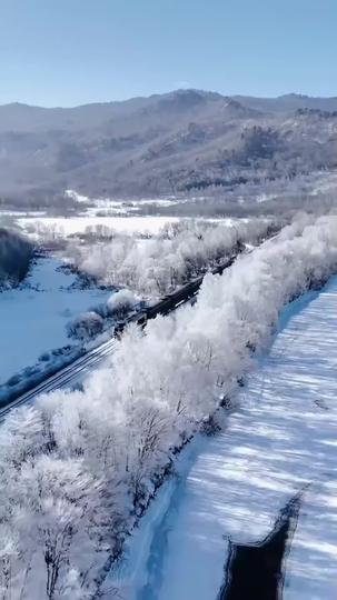 가난한 사위는 회장님(더빙) 제1회