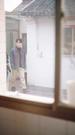 Épisodes 41