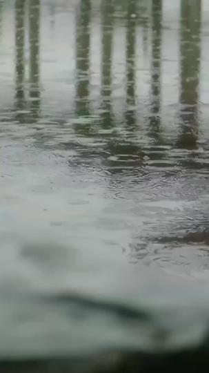 신의 강림: 버려진 사위의 반격 제1회