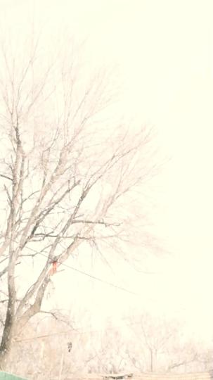 Love Forsaken, Life Reclaimed Episode 5