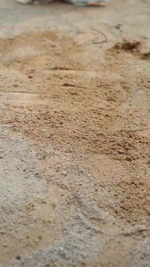 A Love That Defies Time Episode 1