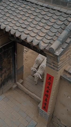 嫁傻又何妨 第4集