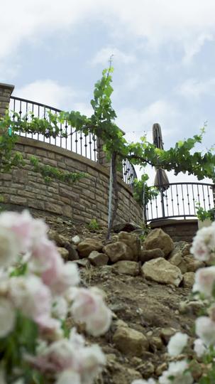 Kontrak Cinta Miliarder Tampan Episode 4