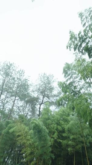 我的叛逆夫君 第3集