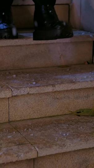 暗夜微光映南川 第4集