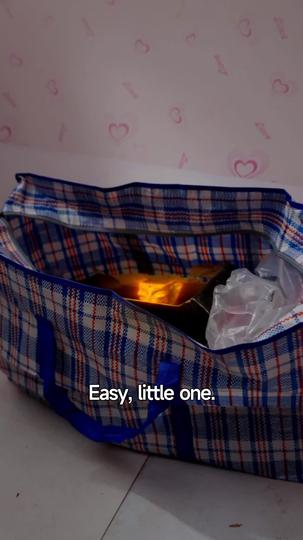The Six-Year-Old Treasure Hunter Episode 2