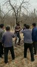 Episodes 31