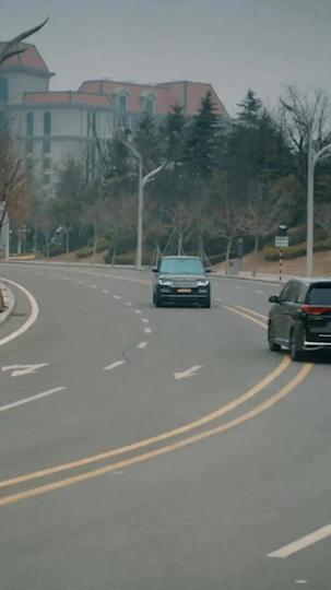 Dumped by My Bodyguard and Married a Billionaire Episode 4