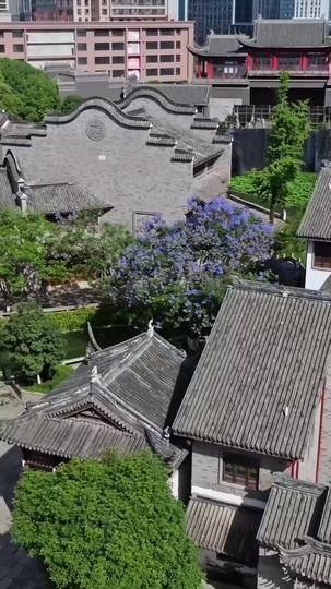 Power in Her Hands: She Commands, She Conquers Episode 2