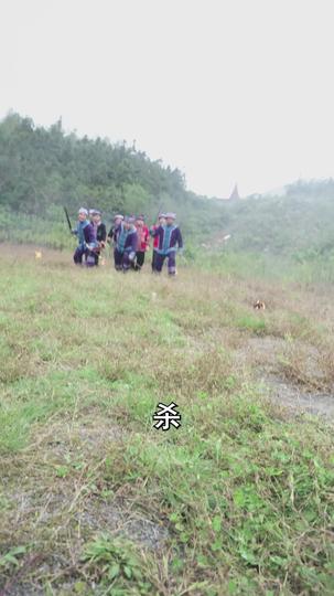 关岭苗医 第2集