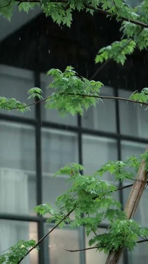 وداعا... أيها الحب المستحيل (مدبلج) 10مجموعة