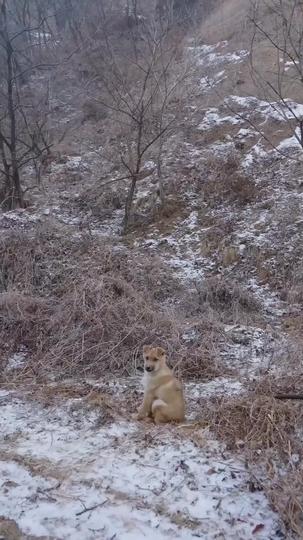 The Legend I Didn't Mean to Be Episode 8