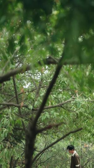 于春色暮晚相拥 第4集