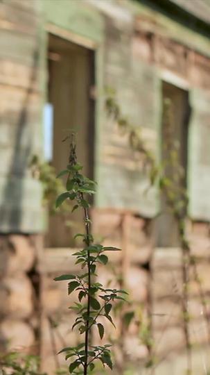 Deadly Divas: Seduce my Billionaire Enemy Episode 6