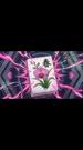 Episodes 41