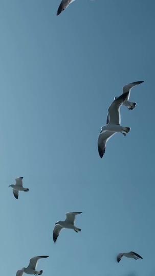 Her Last Anniversary Gift Episode 7