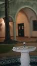 Episodes 37