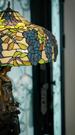 제5회