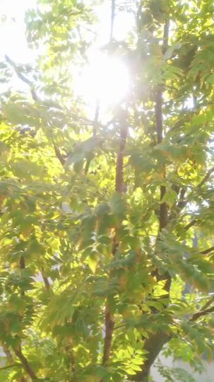 Bow or Bleed: Death Dances at Her Command Episode 2