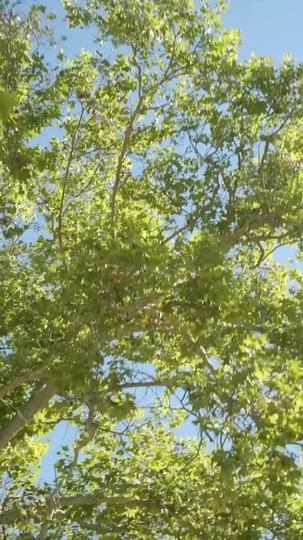 Verliebt im Versteckspiel 1Folgen