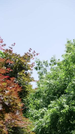 流年深深深几许 第2集