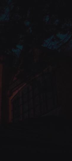 My Twin Sister Stole My Alpha Fiancé Episode 11